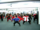 Group Fist Training