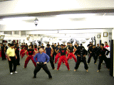 Group Horse Stance Training