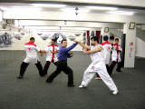 Grandmaster teaches the Instructors "9 Star"