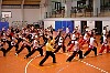 choy li fut seminar