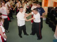 Choy Li Fut Dip-Jeung